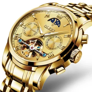 6617 OEM Skeleton Mechanical Self Winding Luxury Watch Moon Date Waterproof Luminous Automatic Men’s Wrist Watch