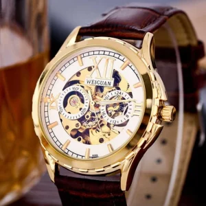 Automatic Mechanical Men Watch with Night Light Water Resistant Hollowed Out Design Business Watch