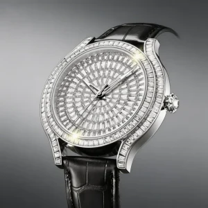 Automatic Stainless Steel Band Watch 8215 Movement Hip Hop Bling Luminous Dial Analog Display Casual Diver