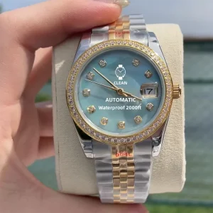 Automatic Stainless Steel Water Resistant Pointer Dial Watch for Women