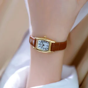 BS-FA1737 Light Luxury Leather and Metal Belt Vintage Casual Style Women’s Quartz Watch