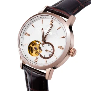 Business Man Mechanical Automatic Leather Band Watch for Men Waterproof Stainless Steel
