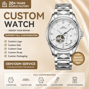 Chinese Watch Manufacturer Classical Custom Dial 5ATM Sapphire Crystal Glass Automatic Mechanical Watch