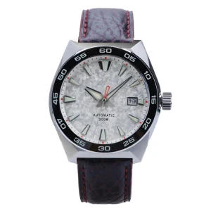 Custom 20atm Luxury Japan Mechanical Automatic 316L Stainless Steel Vintage Diver Watch Men
