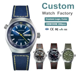 Custom Automatic Movement Day and Date Display Watch Nylon Strap Sapphire Sandblasted Steel Case Men’s Luxury Wristwatch