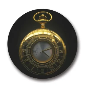 Custom LOGO Haft Hunter 2035 Japan Quartz Movement Stainless Steel Case IPG Eplating Pocket Watch