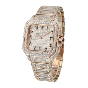 Custom Logo Luxury Watch Moissanite Jewelry Watch Pass Diamond Tester Stainless Steel for Iced Out Vvs Diamond Mechanical Watch