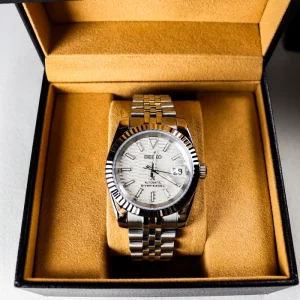 Custom Logo Waterproof 316L Stainless Steel 22mm Width Men Luminous Mechanical Watch