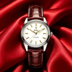Custom Luxury Automatic Mechanical Watch Men Waterproof Stainless Steel Business Wrist Watch
