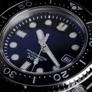 Custom Sapphire Glass 30atm Bgw9 Eta 2824 Mechanical Automatic Stainless Steel Diving Diver Watch Man