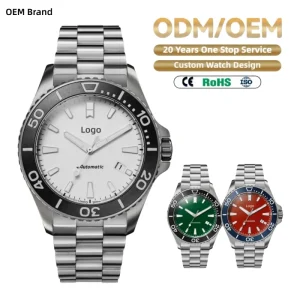 Factory Customized Diver Luxury 316L Stainless Steel 30ATM Mechanical Men’s Watch with Swiss SW200-1 Movement