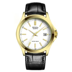 Factory Direct Beautiful Quartz Watch for Men Fashion Waterproof Watch for Men