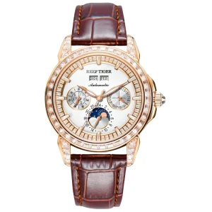 Hollow Design Tourbillon Leather Stainless Steel Luminous Waterproof Business Casual Men’s Mechanical Watch