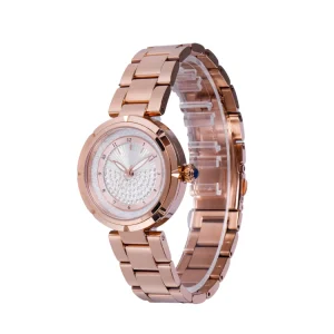 Luminous Quartz Watch Waterproof Personalized Stainless Steel Watches Women Wrist Luxury Diamond Dial Premium Watch