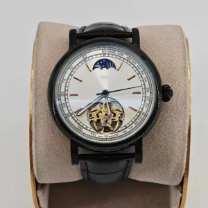 Luxury Men Mechanical Wristwatch Stainless Steel Moon Phase Display Skeleton Movement Fashion Design Automatic Waterproof Watch