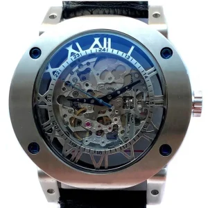 Luxury Transparent Luminous Gear Movement Royal Design Male Mechanical Skeleton Wrist Watch
