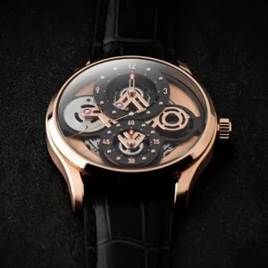 Luxury Waterproof Man Watch Wrist Watch Skeleton Automatic Mechanical Watch