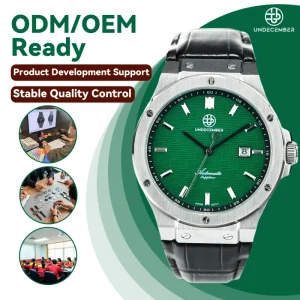 Mechanical Watch Manufacturer Waterproof Men’s Watch ODM/OEM Custom Leather Strap Automatic Watch