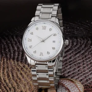 Men’s Automatic Mechanical Watch Waterproof Men’s Wristwatch