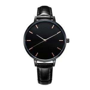 Men’s Diver Mechanical Watch with Sapphire Glass and Strong Night Light 316 Stainless Steel Case and Strap