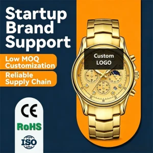 Men’s Stainless Steel Alloy Case & Band Quartz Watch with 30M Water Resistance Pointer Dial Butterfly Clasp