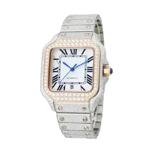 New Stylish Hip Hop Iced Out D Color VVS Moissanite Watch Automatic Past Diamond Tester