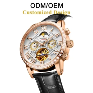 ODM OEM Automatic Mechanical Watch Tourbillon Hollow Flywheel Skeleton Stainless Steel Analog Sapphire