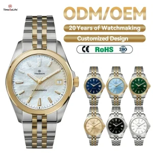 OEM ODM Custom High end Stainless Steel Retro 38MM Automatic Watches 100M Waterproof Luxury NH35 Mechanical Watch Men and Women