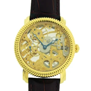 OEM Private Design Customize Luxury Automatic Mechanical Water Resistant Pointer Stainless Steel Skeleton Watch Leather Strap