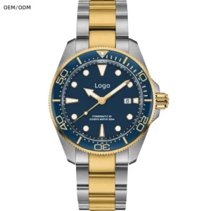 OEM Watches Manufacturers Custom Logo Mechanical Watch Men Luxury High Quality Automatic Watch