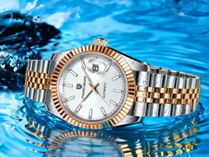 PAGANI DESIGN DD36 Mens Watches Rose Gold Luxury Automatic Watch for Men Mechanical Wristwatch AR Sapphire Ceramic Dial