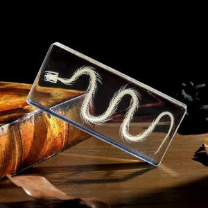 Real Snake Skeleton In Resin Preserved Insect Animal Skeleton Specimen Educational Toys For Teaching Resource Oddities Gift