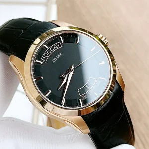 Sports Business Casual Men’s Watch Fully Automatic Mechanical Movement Steel Band Watch
